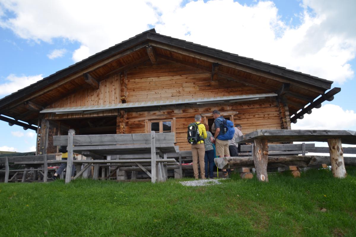 Platzer Alm 15.06.2023